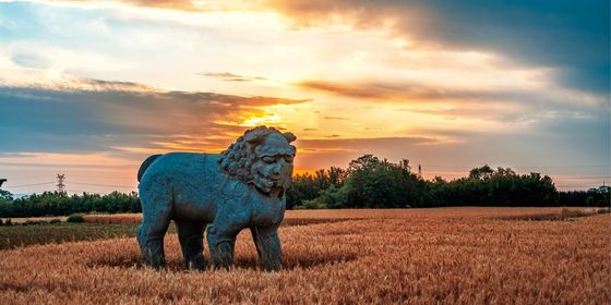 Song Dynasty Lion