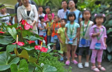 kids and nature cover-VCG11469126516