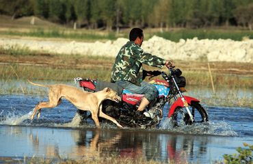 Man riding with scooter